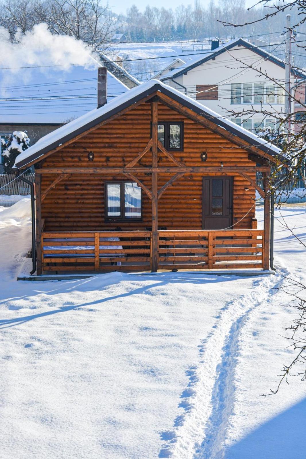 Casuta Adelina Borsa Villa Kültér fotó